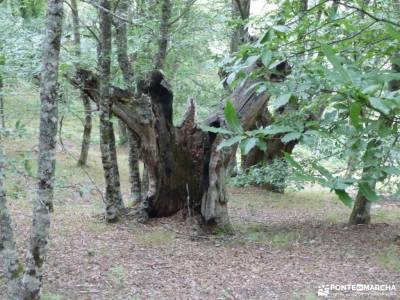 Bierzo lugar de Naturaleza;pueblos fantasmas en madrid senderismo en grazalema las medulas el bierzo